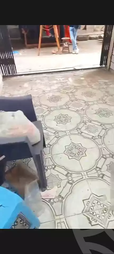 https://aqarmap.com.eg/ar/listing/7326322-for-sale-alexandria-bakoos