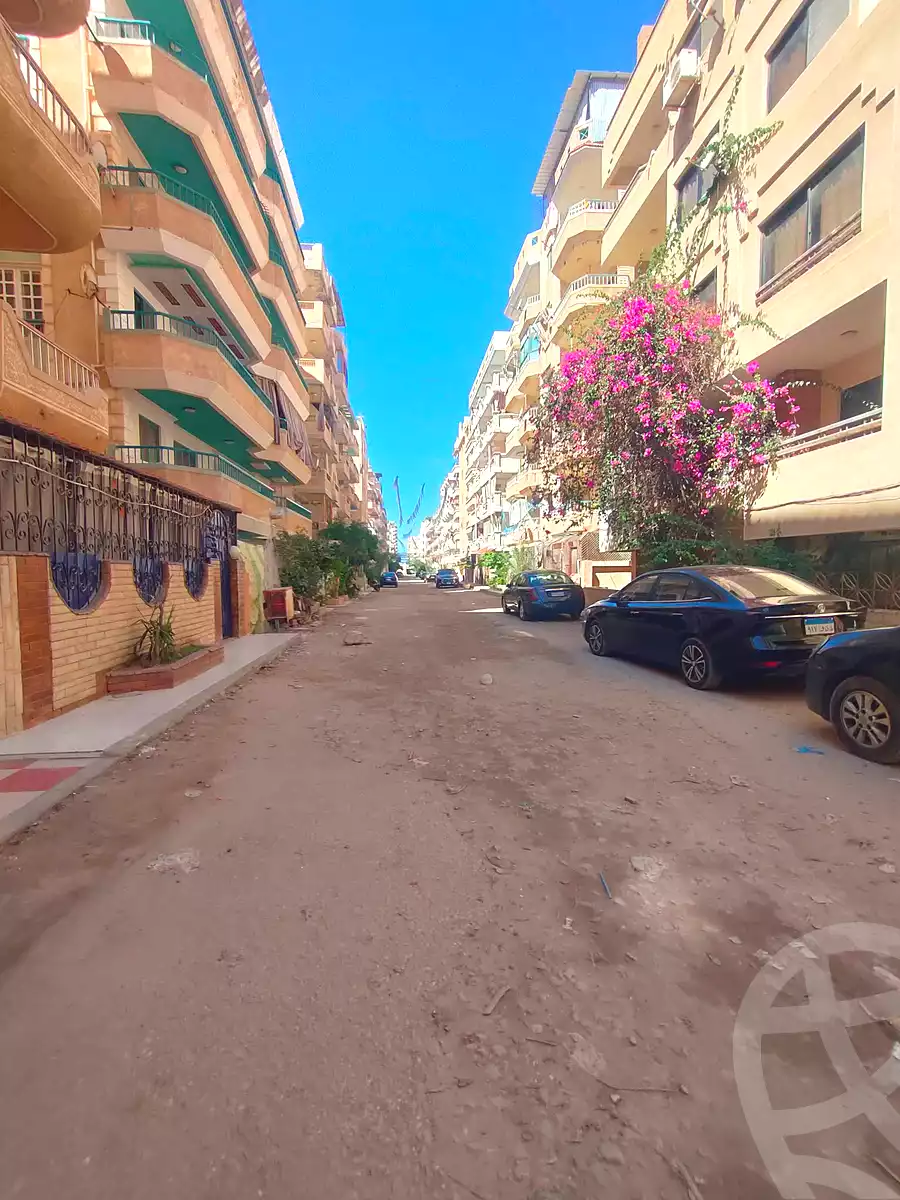 https://aqarmap.com.eg/en/listing/7330005-for-sale-alexandria-al-agamy-shataa-el-nakheel
