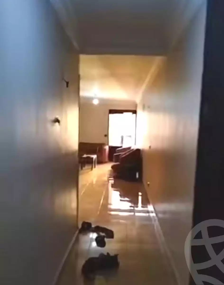 https://aqarmap.com.eg/en/listing/7331217-for-sale-cairo-ain-shams-mnshy-lthryr