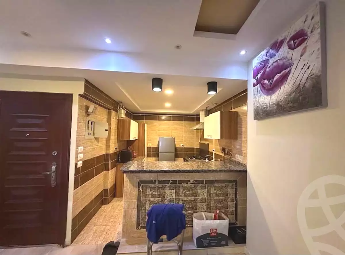 https://aqarmap.com.eg/en/listing/7333544-for-rent-cairo-new-cairo-south-investors-mohammed-nagib-axis-st