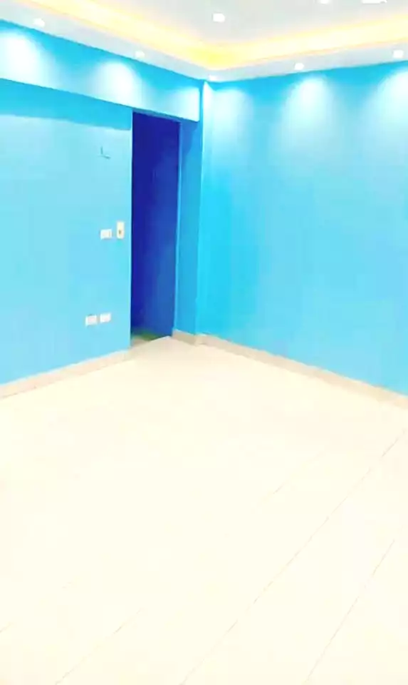 https://aqarmap.com.eg/en/listing/7338521-for-sale-cairo-faisal-hassan-mohamed-st