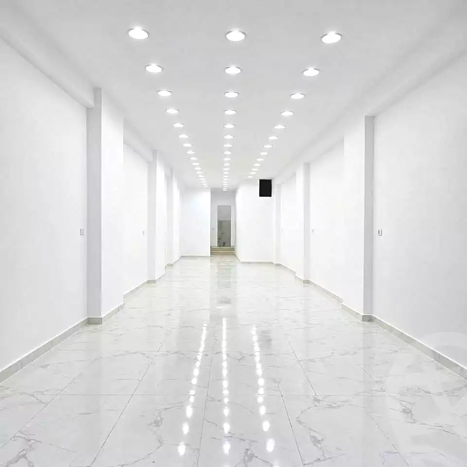 https://aqarmap.com.eg/ar/listing/7341033-for-rent-alexandria-ganaklis-shr-mrtdy-bsh