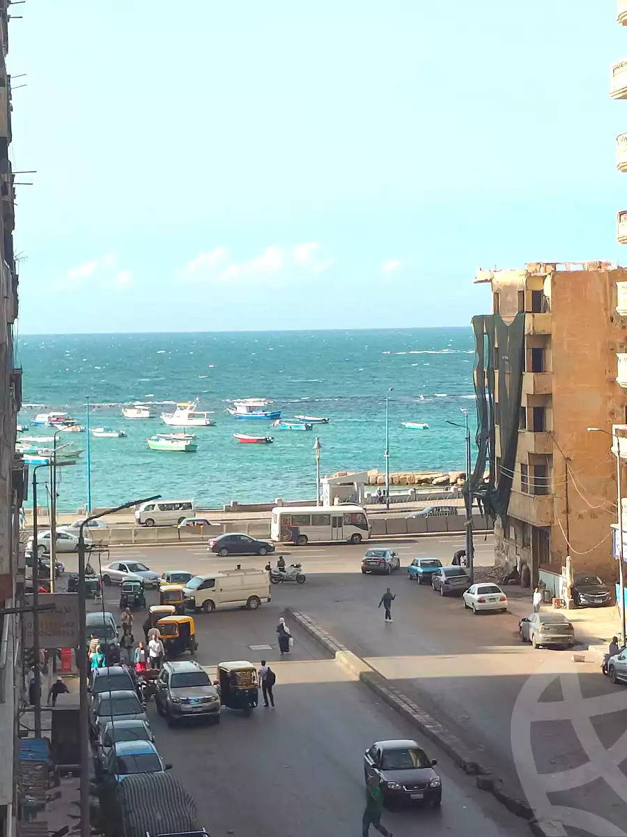 https://aqarmap.com.eg/en/listing/7341860-for-sale-alexandria-miami-iskandar-ibrahim-st