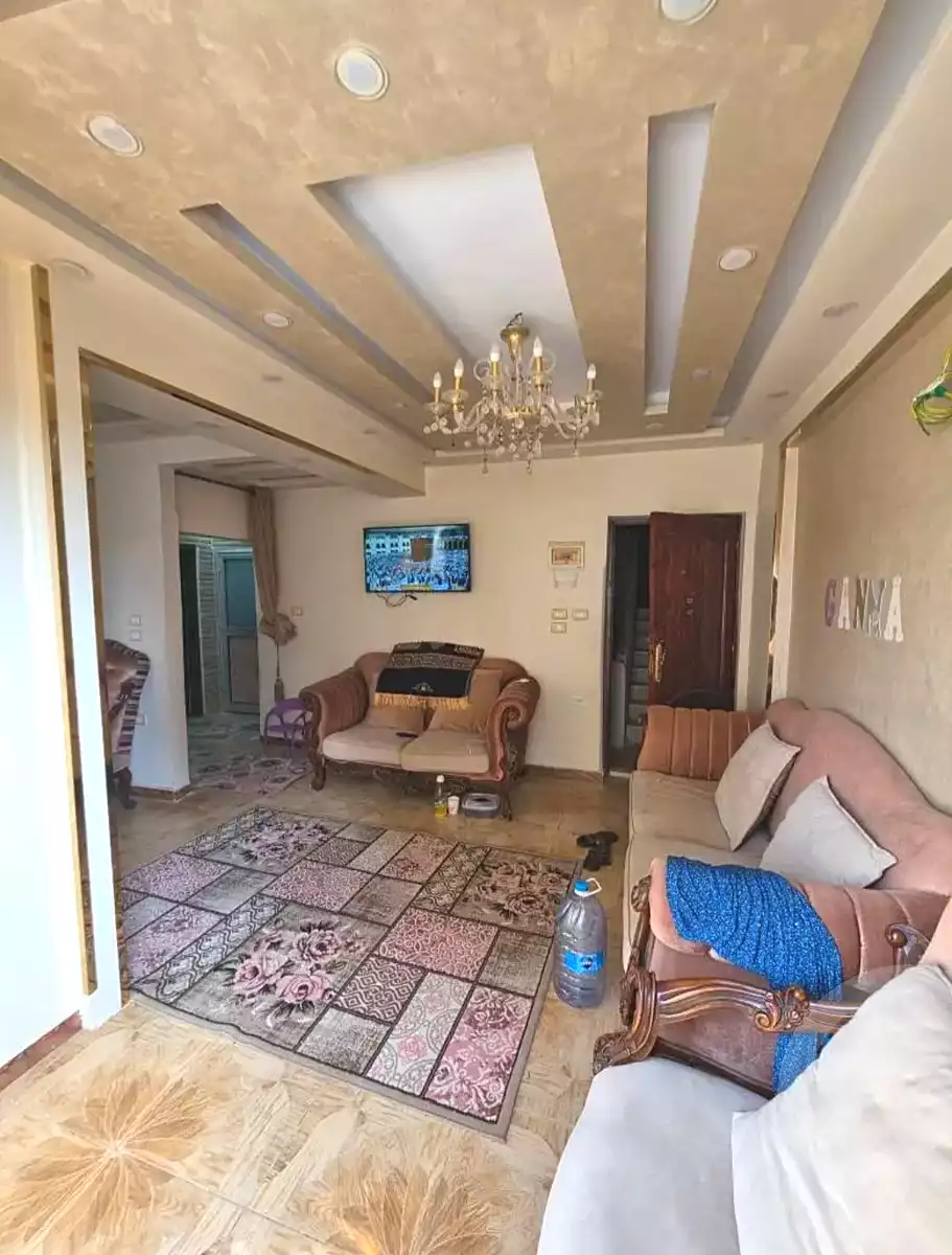 https://aqarmap.com.eg/en/listing/7343822-for-sale-alexandria-sydy-bshr