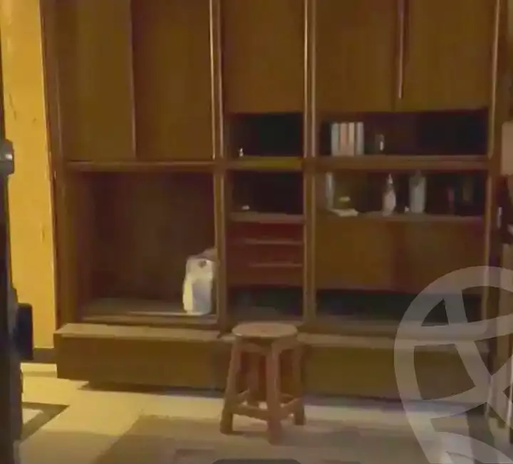 https://aqarmap.com.eg/en/listing/7344347-for-sale-alexandria-ganaklis-shr-mrtdy-bsh
