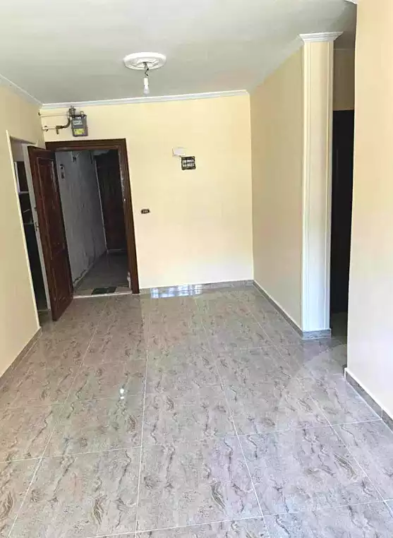 https://aqarmap.com.eg/en/listing/7347015-for-sale-alexandria-ganaklis