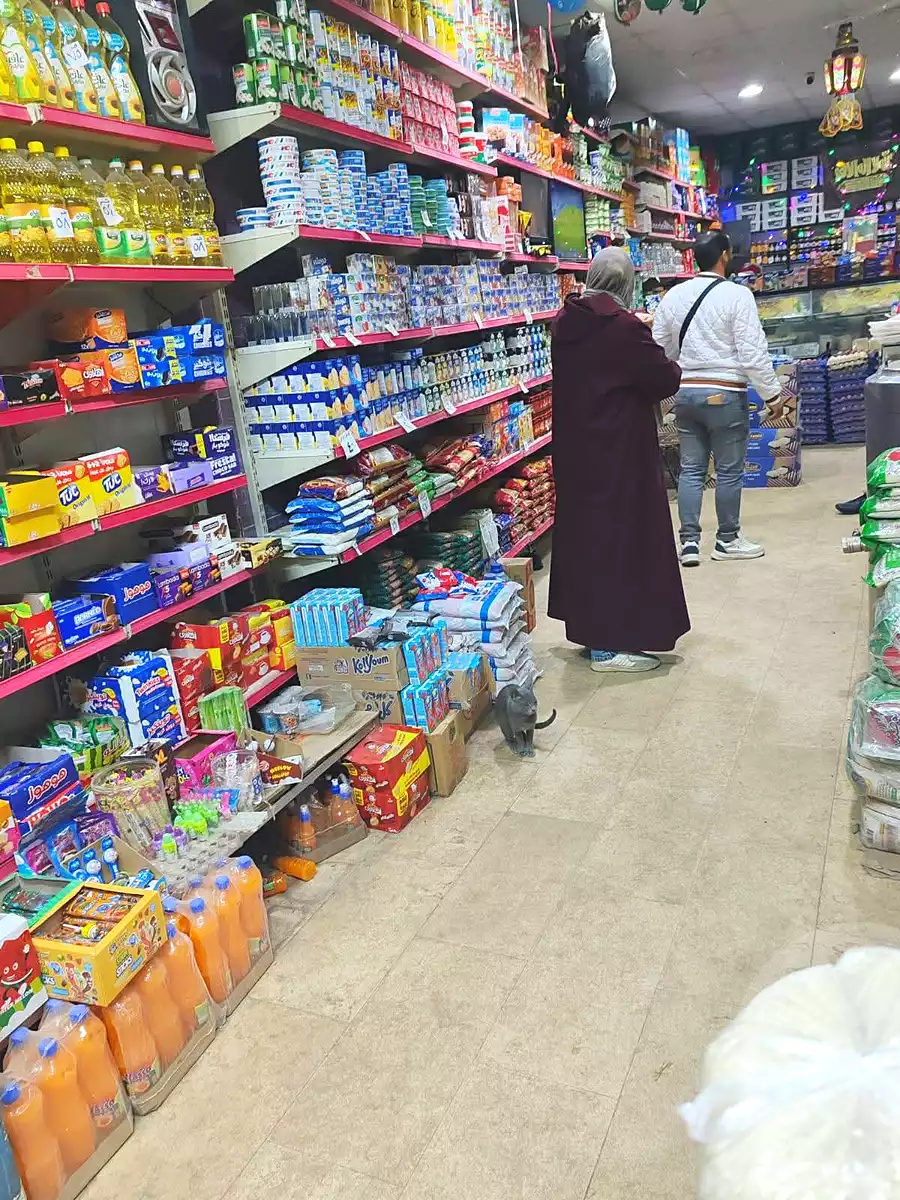 https://aqarmap.com.eg/en/listing/7348203-for-sale-alexandria-mntq-fr-y-blskndry-el-awayed