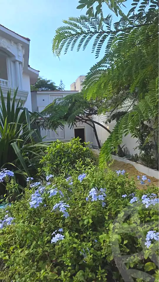 https://aqarmap.com.eg/ar/listing/7352185-for-sale-alexandria-al-agamy-lbytsh-el-hanafeya-st
