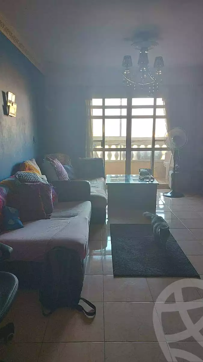 https://aqarmap.com.eg/ar/listing/7354231-for-sale-alexandria-moharram-bey