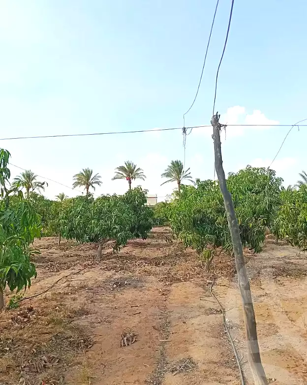 https://aqarmap.com.eg/ar/listing/7356847-for-sale-alexandria-cairo-alexandria-desert-road