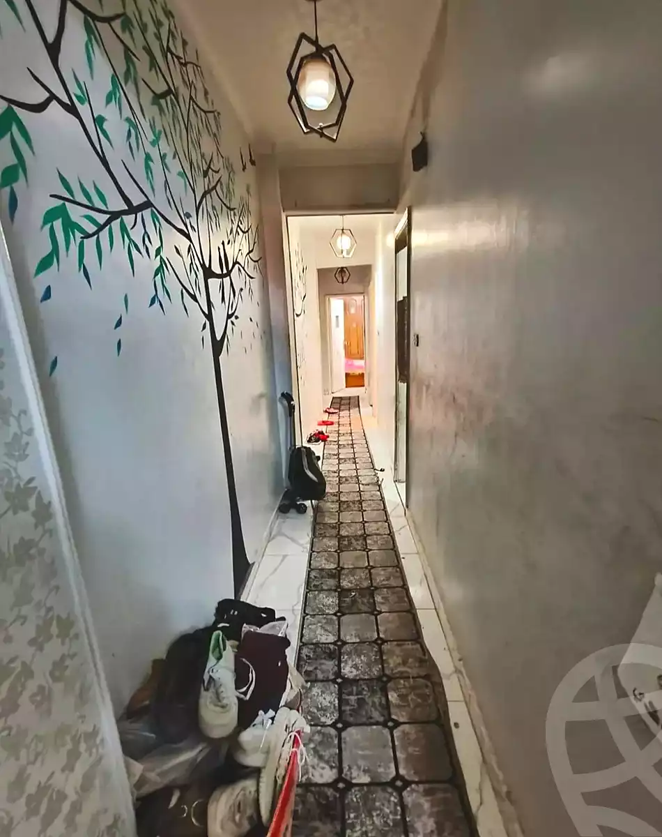 https://aqarmap.com.eg/ar/listing/7357022-for-sale-cairo-helwan-zou-el-fekar-basha-st