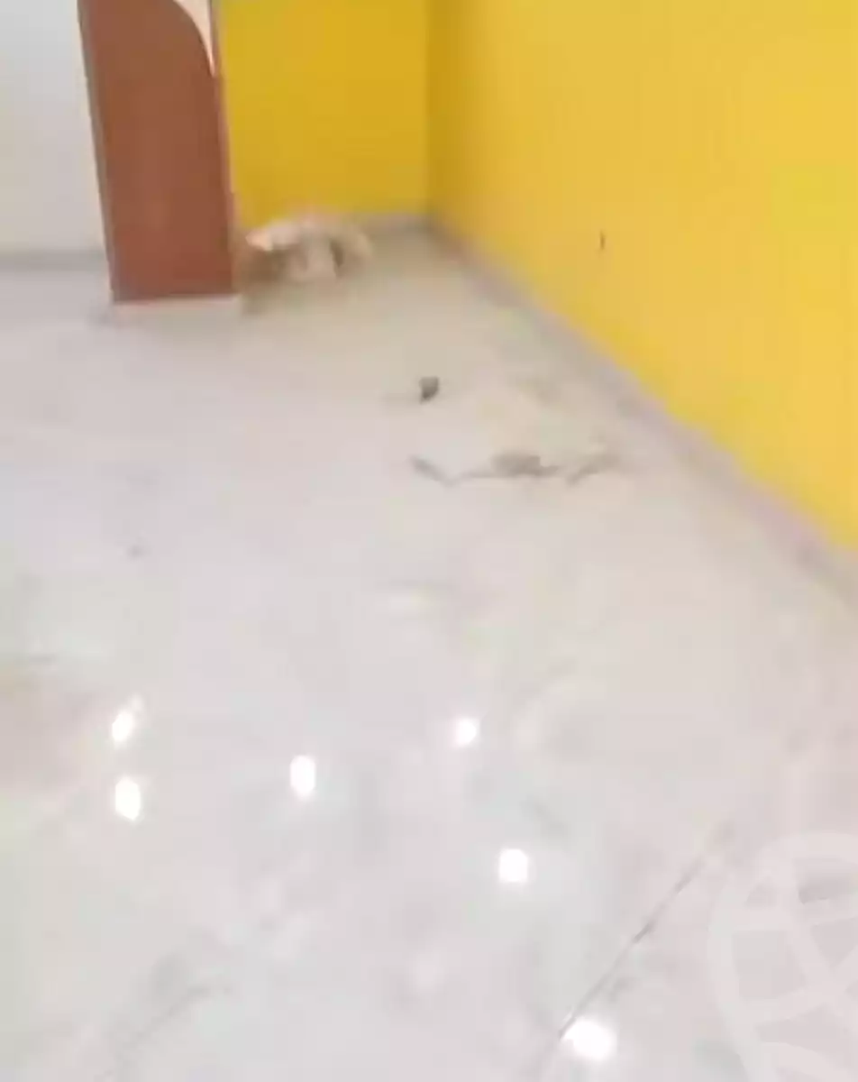 https://aqarmap.com.eg/ar/listing/7357636-for-sale-cairo-ain-shams-jsr-lswys-el-arbaeen-st