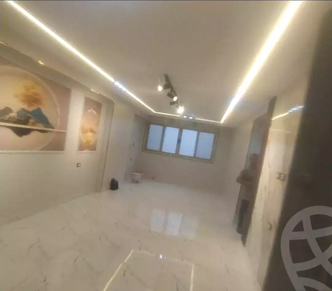 https://aqarmap.com.eg/en/listing/7358713-for-rent-cairo-faisal