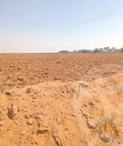 https://aqarmap.com.eg/en/listing/7359143-for-sale-ismailia-ismailia-city