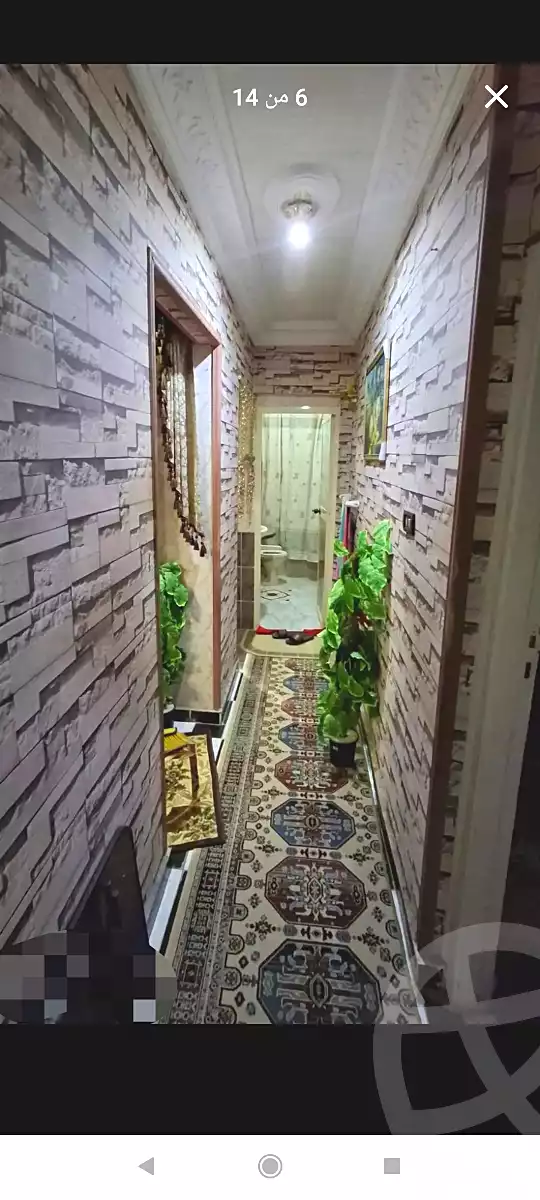 https://aqarmap.com.eg/en/listing/7360052-for-sale-alexandria-lsywf-el-falki-street-16-el-eslah