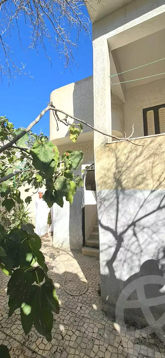 https://aqarmap.com.eg/ar/listing/7360470-for-sale-alexandria-abu-talat
