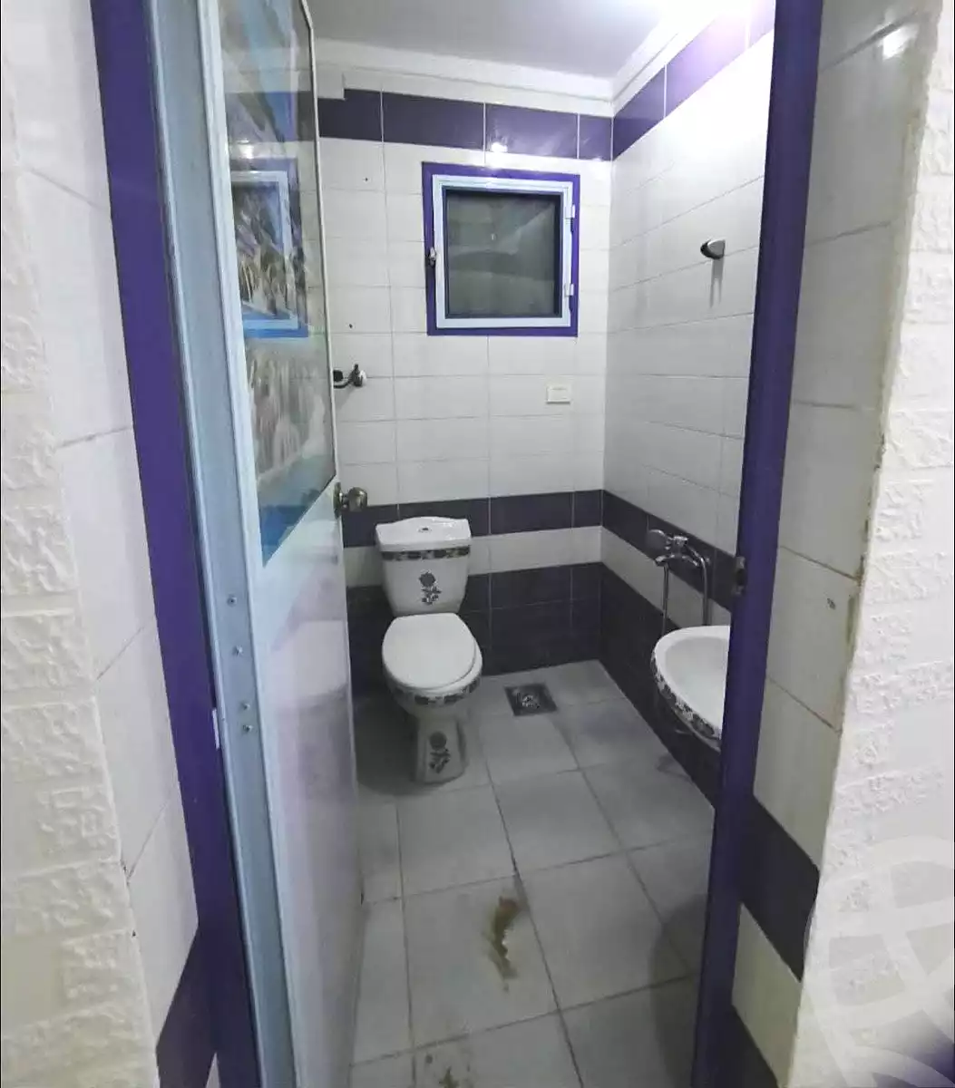 https://aqarmap.com.eg/en/listing/7361133-for-rent-alexandria-lsywf-el-falki