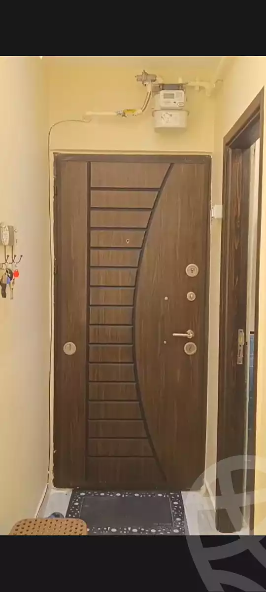https://aqarmap.com.eg/en/listing/7371574-for-sale-cairo-faisal-el-lebeny