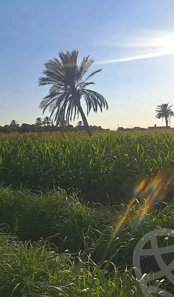 https://aqarmap.com.eg/ar/listing/7374810-for-sale-cairo-al-oubour-el-manateq-el-snaaya-industrial-b-g