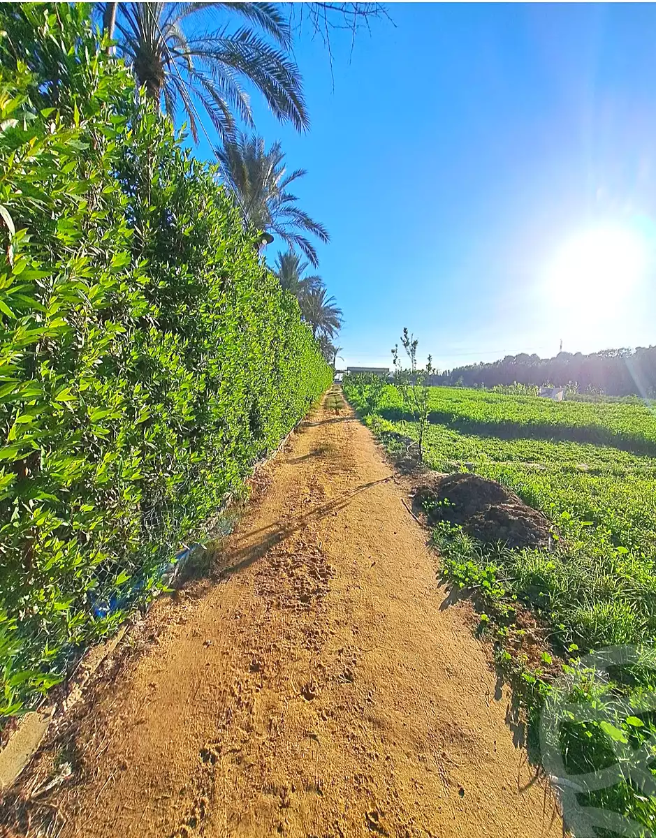 https://aqarmap.com.eg/ar/listing/7375707-for-sale-alexandria-kafr-abdo-ismailia-st