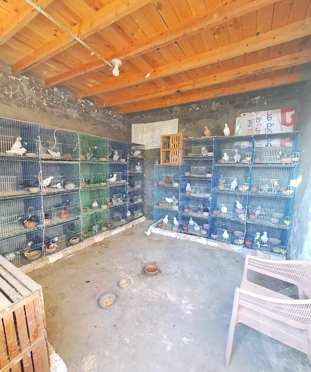 https://aqarmap.com.eg/ar/listing/7375707-for-sale-alexandria-kafr-abdo-ismailia-st