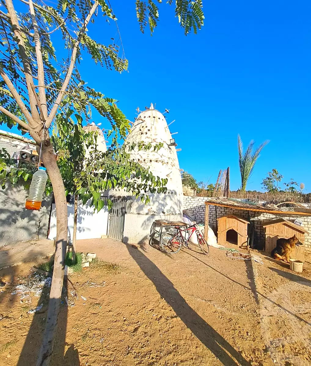 https://aqarmap.com.eg/ar/listing/7375707-for-sale-alexandria-kafr-abdo-ismailia-st