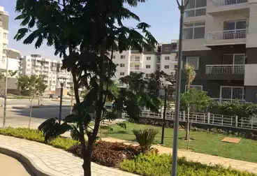 Apartments For rent - 1 rooms - floor 1