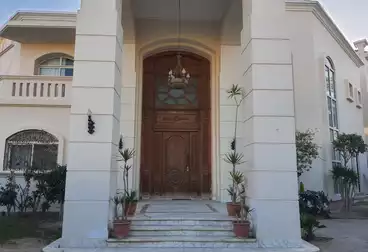 فلل للإيجار - 6 غرف