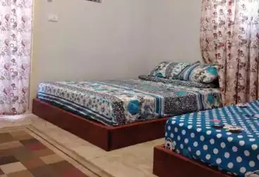 Studio For rent - 1 rooms - floor 5