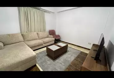 Furnished Apartment For rent in Street 10