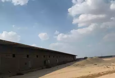 https://aqarmap.com.eg/ar/listing/4975619-for-sale-monufia-sadat-city-industrial-zone