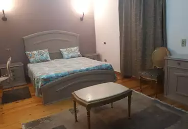 Furnished Apartment For rent in Mohi El Din Abou El Ezz