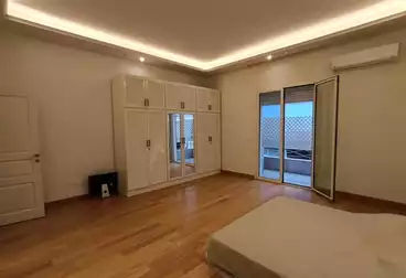 New apartment for rent in Zamalek on the Nile