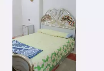 https://aqarmap.com.eg/ar/listing/4735672-for-rent-gharbia-tanta-tanta-city-el-nadi-st