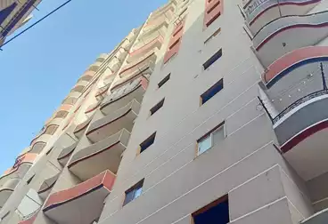 https://aqarmap.com.eg/en/listing/4746209-for-sale-sohag-sohag-city