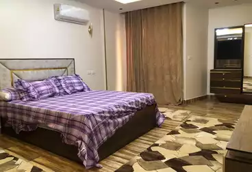 Furnished apartment for rent in Mohandiseen