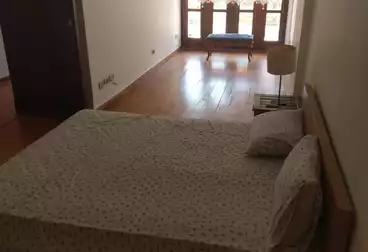 Apartment for rent in Zamalek