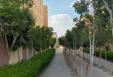 https://aqarmap.com.eg/ar/listing/4834838-for-sale-cairo-new-cairo-el-ahyaa-fourth-neighborhood-street-12