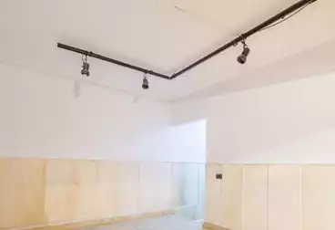 Apartment for rent in Zamalek