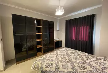 Furnished hotel apartment for rent in Eastown Sodic