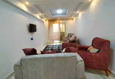 Furnished Apartment For rent in Malak Hefni St.