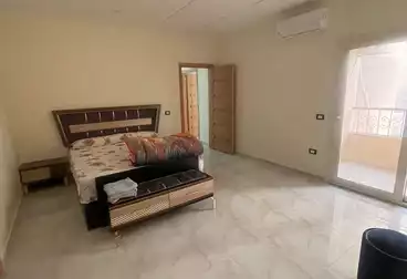 Furnished Apartment For rent in Lotus South