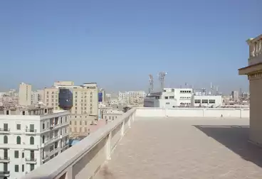 Roof For rent in El-Nasr St