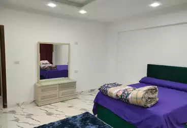 Furnished Apartment For rent in Malak Hefni St. 700