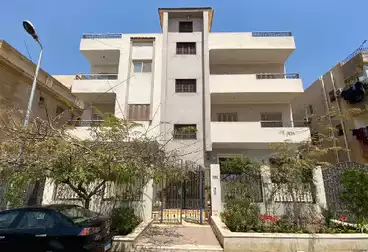 https://aqarmap.com.eg/ar/listing/4978977-for-sale-cairo-new-cairo-el-ahyaa-third-neighborhood-no-45