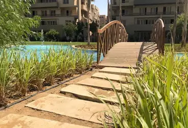 apartments for sale in new cairo