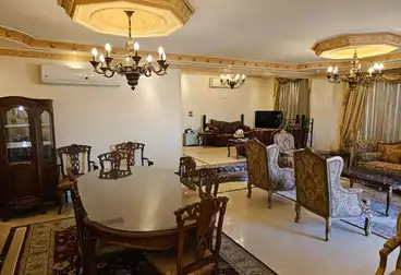 Furnished Apartment For rent in Ahmed Fakhry St.