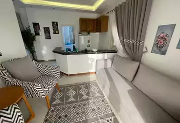 Furnished Apartment For rent in Sedki Suliman St.