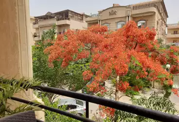 شقق للبيع - 3 غرف - بالدور 1