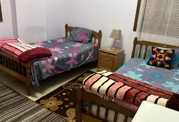 Furnished Apartment For rent in Badr-Khan Ali St.